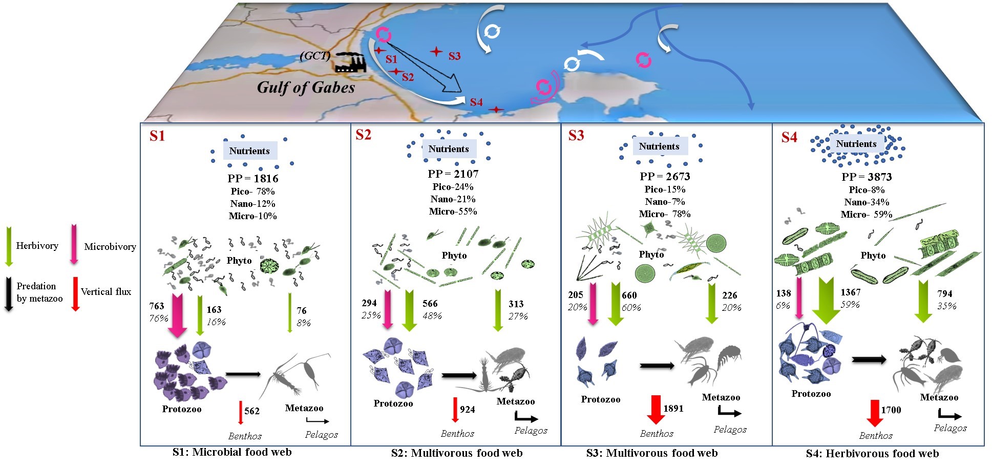 Influence Of Nutrient Gradient On Phytoplankton Size Structure, Primary ...